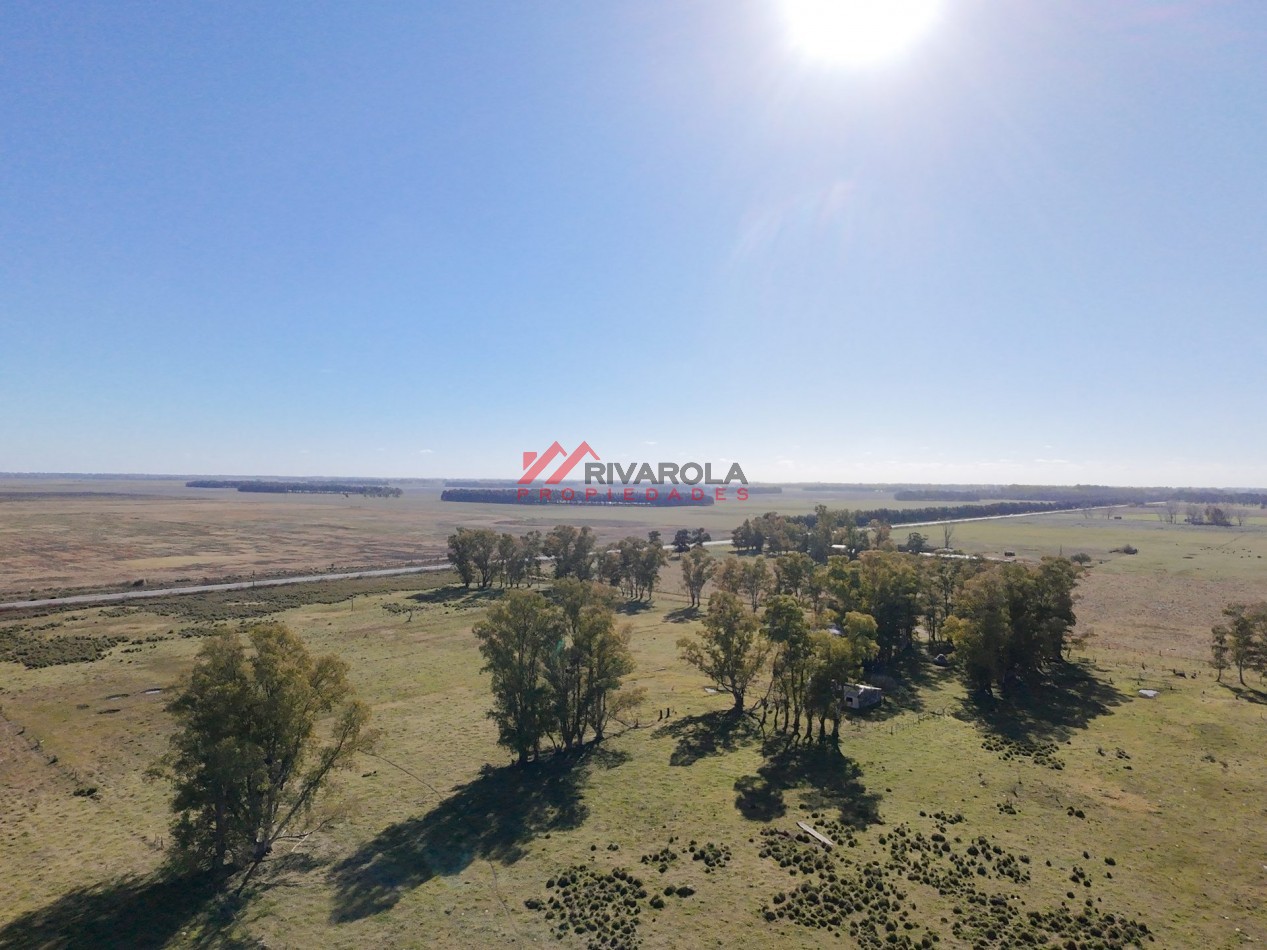 7 HECTAREAS SOBRE RUTA 215, SAN MIGUEL DEL MONTE