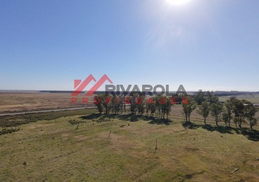 7 HECTAREAS SOBRE RUTA 215, SAN MIGUEL DEL MONTE